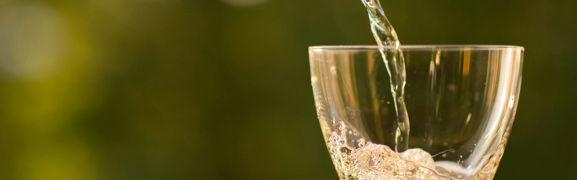 sugar free wine