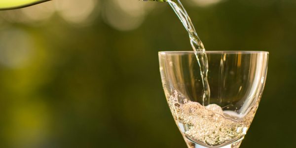sugar free wine