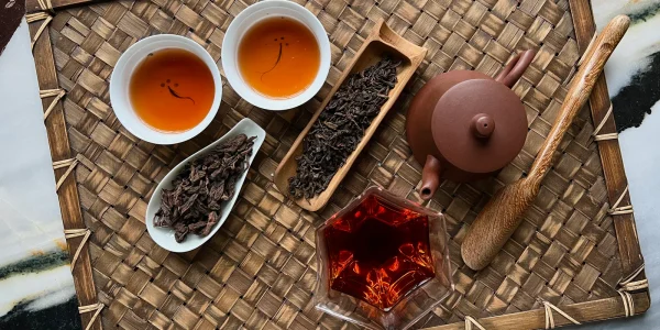 cha pu erh tea