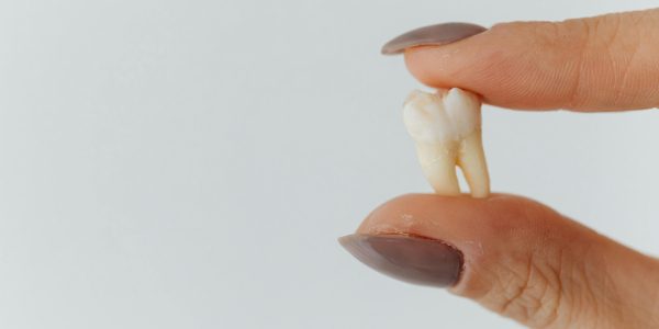 best gum for teeth health